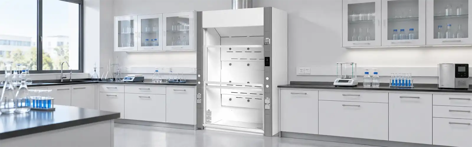 Laboratory Fume Hood